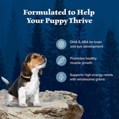 Image showing  Puppy High-Protein Natural Chicken Recipe Dry Dog Food