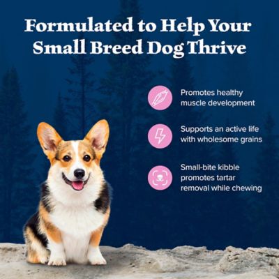 Image showing  Small Breed Adult High-Protein Chicken and Wholesome Grains Recipe Dry Dog Food