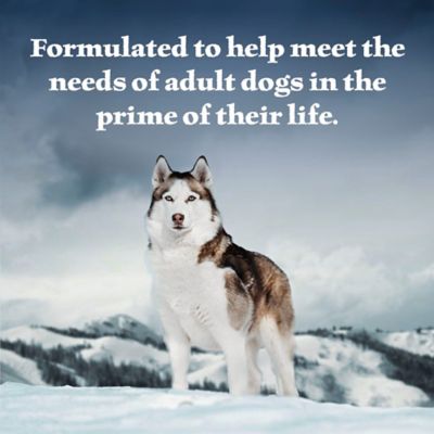 Image showing  Adult Chicken and Salmon and Beef and Chicken Wet Dog Food Variety pk., 12.5 oz., 6 pk.