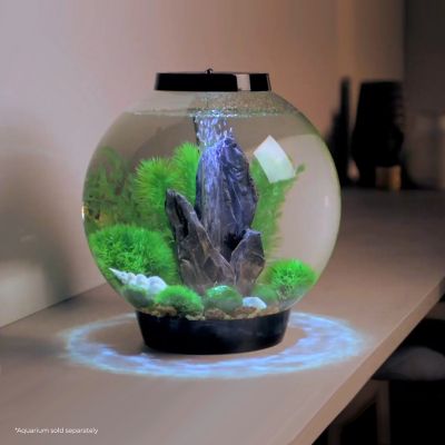 Image showing  Stone Aquarium Garden Decor Set