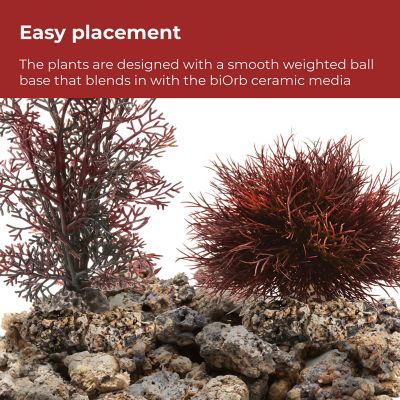 Image showing 5 th biOrb Red Forest Aquarium Decor Set