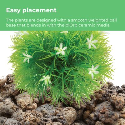 Image showing 5 th biOrb Summer Aquarium Decor Set