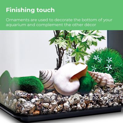 Image showing 6 th biOrb Summer Aquarium Decor Set