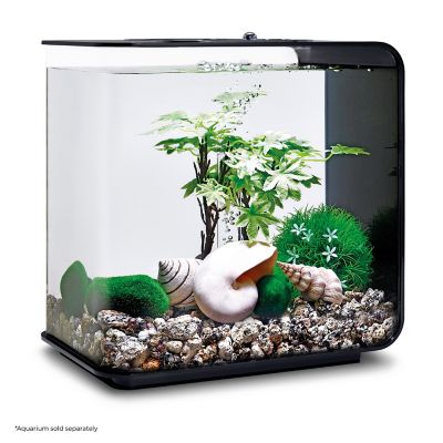 Image showing 7 th biOrb Summer Aquarium Decor Set