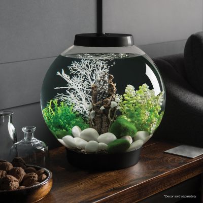 Image showing  Classic 15 Round Aquarium with Standard Light, 4 gal., Black