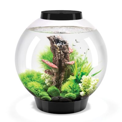biOrb Classic 30 Round Aquarium with Standard Light, 8 gal., Black