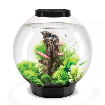 biOrb CLASSIC 30 Aquarium with Standard Light – 8 gal Black Aquariums