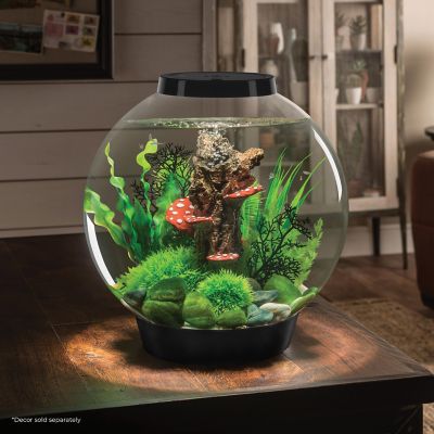 Image showing  Classic 30 Round Aquarium with Standard Light, 8 gal., Black