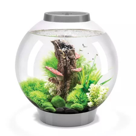 biOrb Classic 30 Aquarium with Standard Lighting 8 gal Silver Aquariums