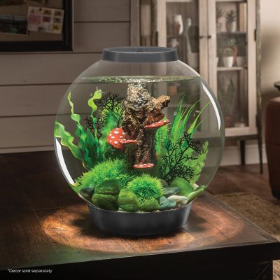 Image showing  Classic 30 Round Aquarium with Standard Light, 8 gal., Silver