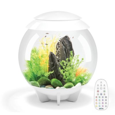 biOrb HALO 30 Aquarium with MCR Light, 8 gal., White