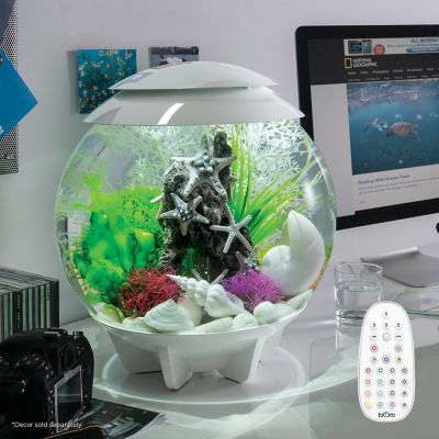 Image showing  Halo 30 Round Aquarium with MCR Light, 8 gal., White