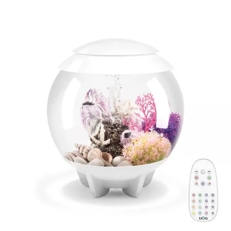 biOrb Halo 15 Aquarium with Multicolor Light 4 gal White Aquariums