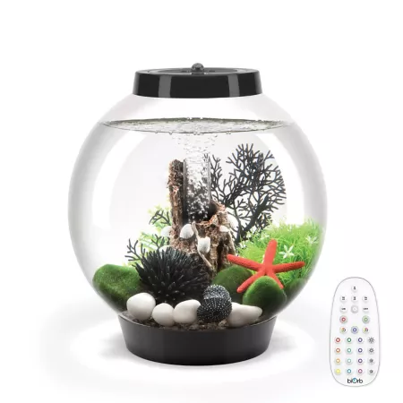 biOrb Classic 15 Aquarium with Multicolor Light 4 gal Black Aquariums