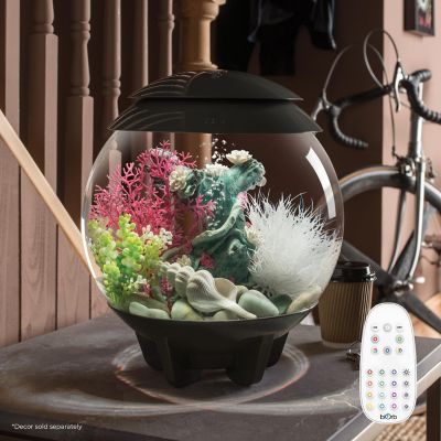 Image showing  Halo 15 Round Aquarium with Multicolor Light, 4 gal., Grey