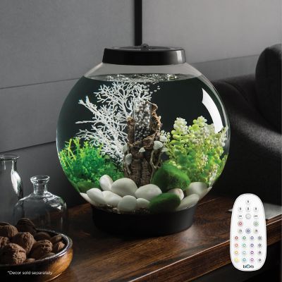 Image showing  Classic 15 Round Aquarium with Multicolor Light, 4 gal., Silver