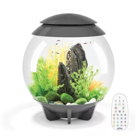 biOrb Halo 30 Aquarium with Multicolor Light 8 gal Gray Aquariums