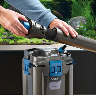 Image showing  60 Ppi Pre-Filter Foam for Biomaster, 6-Pack