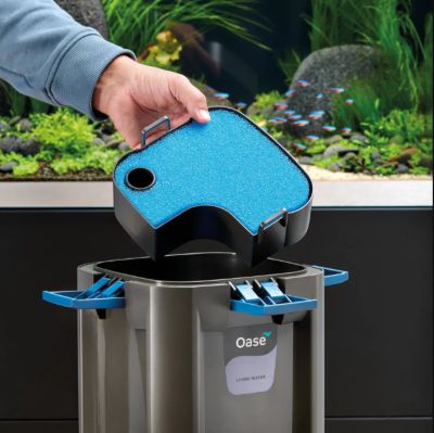 Image showing  20 Ppi Blue Filter Foam for Biomaster, 49602