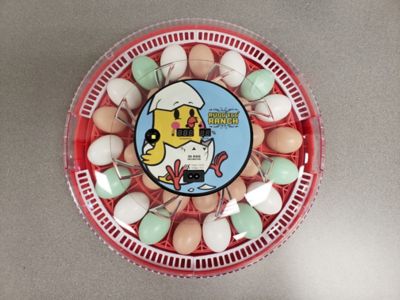 Image showing  30-Egg Capacity Incubator, Red