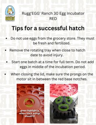 Image showing  30-Egg Capacity Incubator, Red