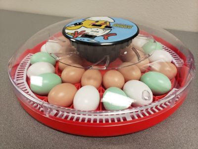 Image showing 7 th Rugg EGG Ranch 30-Egg Capacity Incubator, Red