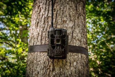 Image showing  Deceptor AT&T/Verizon Cellular Trail Camera