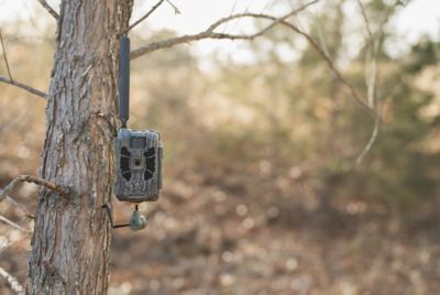 Image showing  Deceptor AT&T/Verizon Cellular Trail Camera