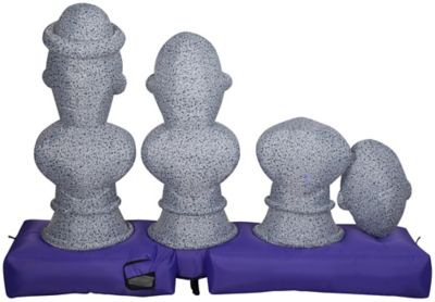 Image showing  Lightshow Airblown Musical Haunted Mansion Busts, G-229853