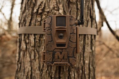 Image showing  24 MP Mitigator AT&T/Verizon Cellular Trail Cam