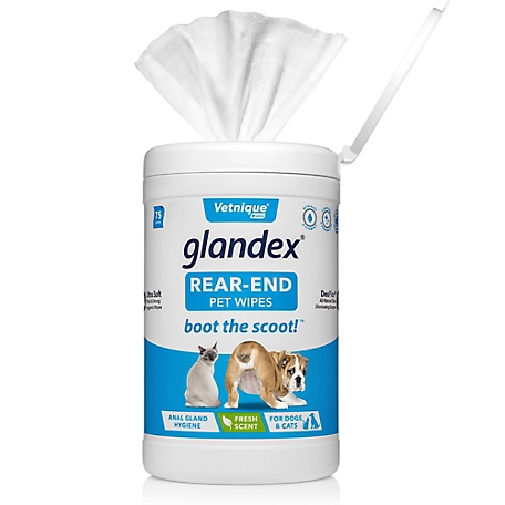 Glandex Anal Gland Hygienic Pet Wipes, 75ct Fresh Scent