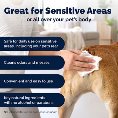 Image showing  Anal Gland Hygienic Pet Wipes, Fresh Scent, 75 ct.