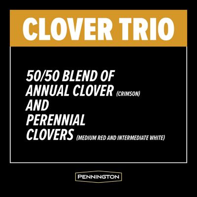 Image showing  Rackmaster Clover Trio 5 lb., 100081731