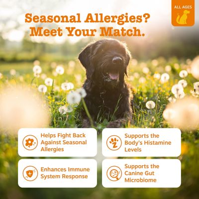Image showing  Allergy Immune Bites Supplement for Dogs, Lamb Flavor, 90 ct.