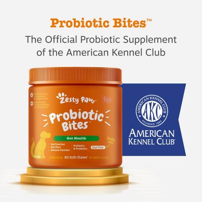 Image showing  Probiotic Bites Supplements for Dogs, Pumpkin Flavor, 90 ct.