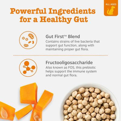 Image showing  Probiotic Bites Supplements for Dogs, Pumpkin Flavor, 90 ct.