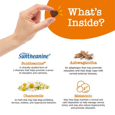 Image showing  Calming Supplement Bites with Melatonin for Dogs, 90 ct.