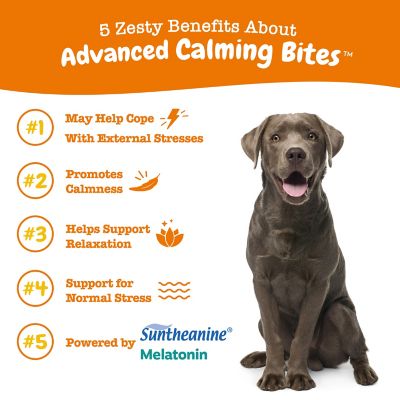 Image showing  Calming Supplement Bites with Melatonin for Dogs, 90 ct.