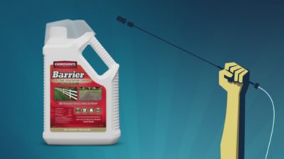 Image showing  1 gal. Barrier Year-Long Vegetation Control, Concentrate