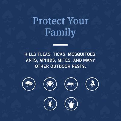 Image showing  32 oz. F&T Yard/Premise Spray