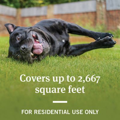 Image showing  32 oz. F&T Yard/Premise Spray