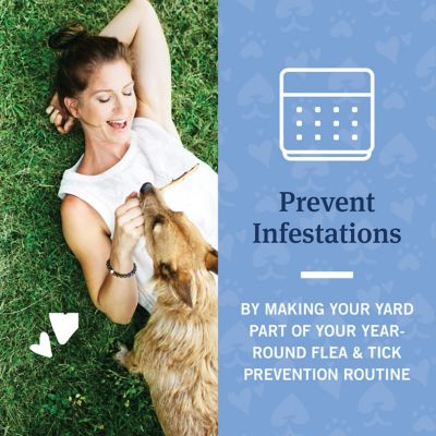 Image showing  32 oz. F&T Yard/Premise Spray