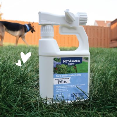 Image showing 6 th PetArmor 32 oz. F&T Yard/Premise Spray