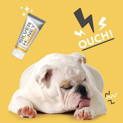 Image showing  Hot Spot and Wound Care Antimicrobial Ointment for Pets, 2 oz.