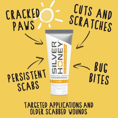 Image showing  Hot Spot and Wound Care Antimicrobial Ointment for Pets, 2 oz.