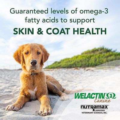 Image showing  Omega-3 Skin and Coat Health Supplement for Dogs, 16 oz.