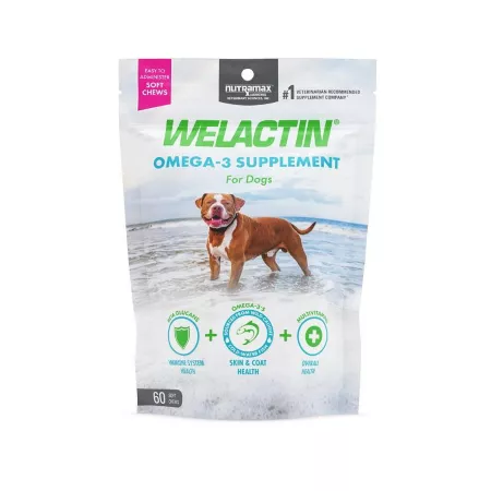 Nutramax Laboratories Welactin Omega-3 Soft Chewable Supplement for Dogs 60 ct Dog Skin & Coat Supplements