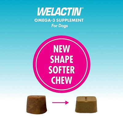 Image showing  Omega-3 Skin and Coat Health Plus Overall Wellness Supplement for Dogs, 60 ct.