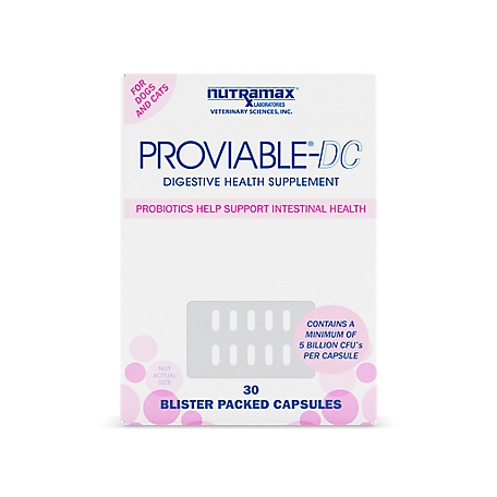 Nutramax Laboratories Proviable Probiotic Supplements for Cats and Small Dogs