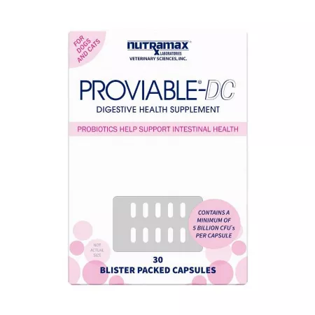 Nutramax Laboratories Proviable Probiotic Digestive Supplement Capsules for Cats and Small Dogs 30 ct Dog Digestion Supplements